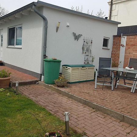 Ferienwohnung Montag _ In Der Alts ザスニッツ エクステリア 写真
