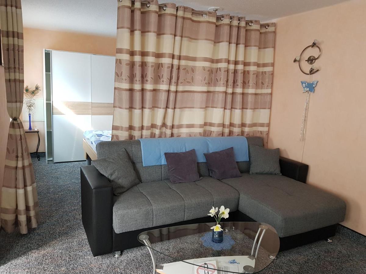 Ferienwohnung Montag _ In Der Alts ザスニッツ エクステリア 写真
